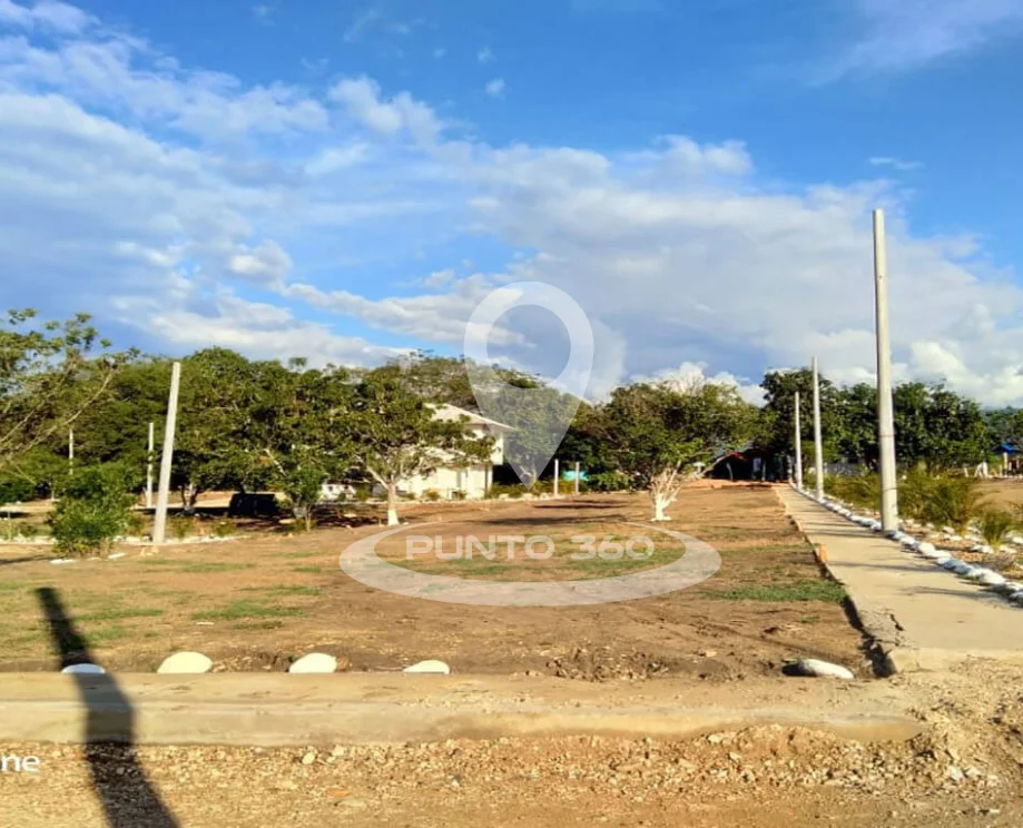 VENTA DE LOTE EN CARMEN DE APICALÁ