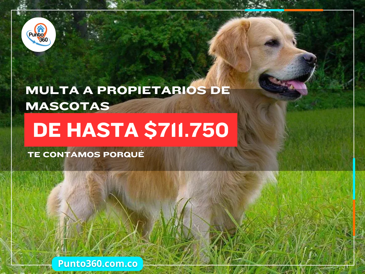 Multa a Propietarios de Mascotas de Hasta $711.750 es la advertencia que hoy deben tener presente miles de propietarios
