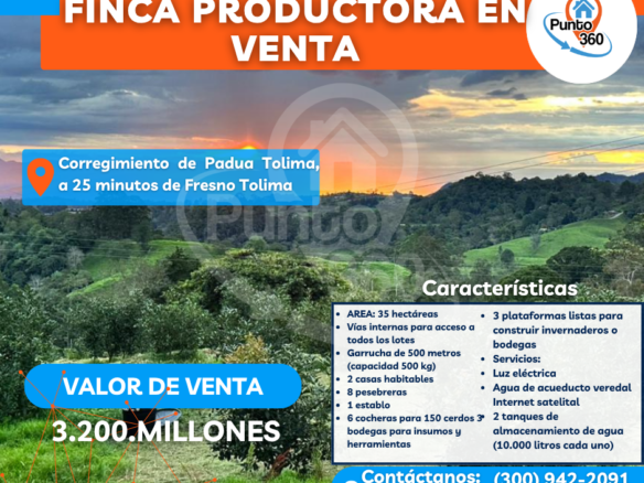 VENTA DE FINCA CORREGIMIENTO DE PADUA TOLIMA, A 25 MINUTOS DE FRESNO TOLIMA