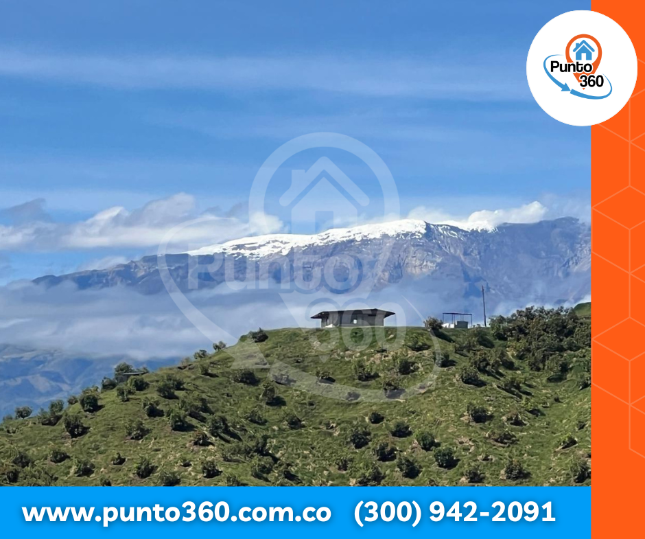 VENTA DE FINCA CORREGIMIENTO DE PADUA TOLIMA, A 25 MINUTOS DE FRESNO TOLIMA