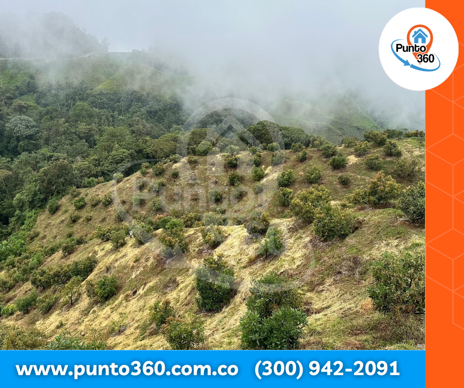 VENTA DE FINCA CORREGIMIENTO DE PADUA TOLIMA, A 25 MINUTOS DE FRESNO TOLIMA